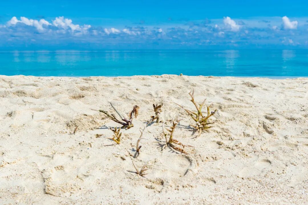 中国最霸气的城市：坐拥8个机场，却禁止外国人入内！什么都免费，不输马代，但只有0.01%的来过