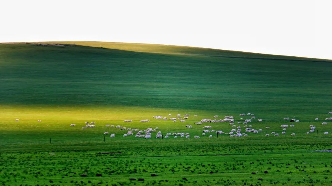 一到夏天，內蒙古就「綠」了全世界！ 旅遊 第13張