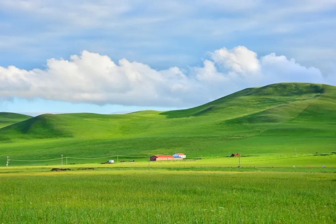 一到夏天，內蒙古就「綠」了全世界！ 旅遊 第12張