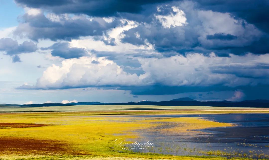 一到夏天，內蒙古就「綠」了全世界！ 旅遊 第28張