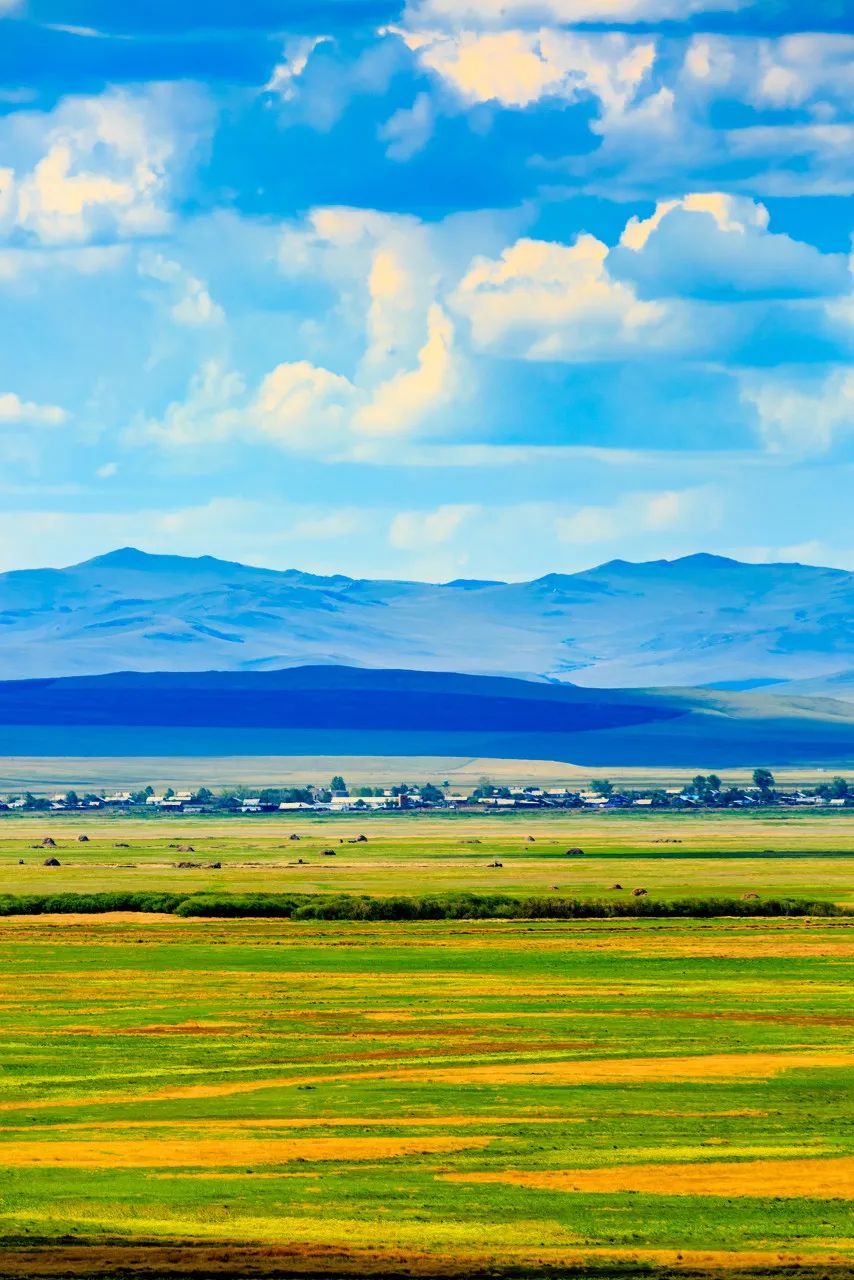 一到夏天，內蒙古就「綠」了全世界！ 旅遊 第7張