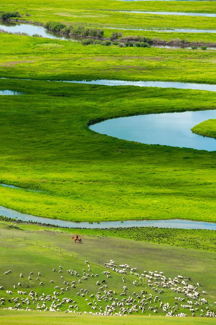 一到夏天，內蒙古就「綠」了全世界！ 旅遊 第6張
