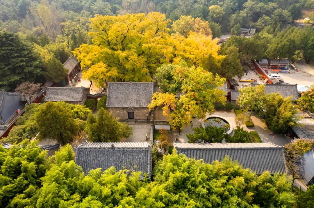 山东又一“假古城”火了，耗资39亿，却不收门票！游客：来了根本不想走