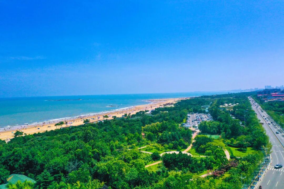 山东又一“假古城”火了，耗资39亿，却不收门票！游客：来了根本不想走