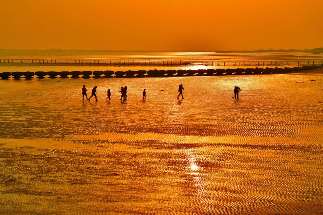 山东又一“假古城”火了，耗资39亿，却不收门票！游客：来了根本不想走