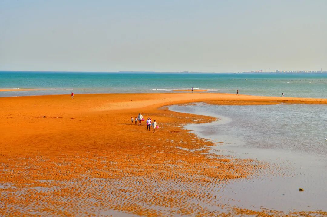 山东又一“假古城”火了，耗资39亿，却不收门票！游客：来了根本不想走