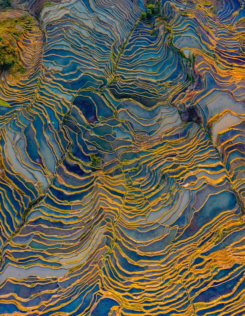 国内最适合“躺平”的城市：四季如春，房价叫板鹤岗！7W能买房，5点下班，每年却有3W人想逃离...