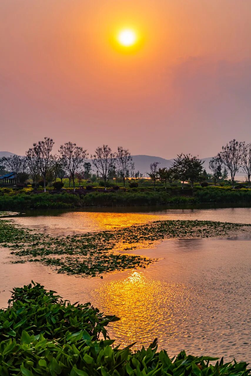 国内最适合“躺平”的城市：四季如春，房价叫板鹤岗！7W能买房，5点下班，每年却有3W人想逃离...