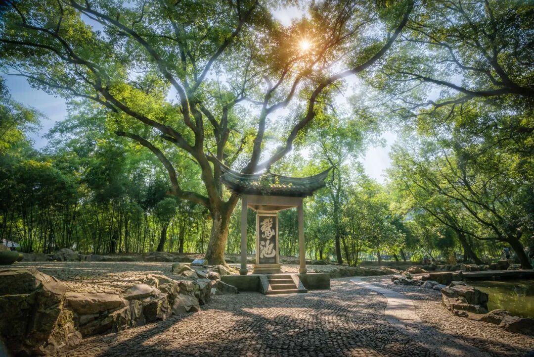 中国最“臭”的城市：臭晕游客，吃吐无数人！比柳州还“上头”，却让鲁迅表白！穷游必去，比苏杭更诗意