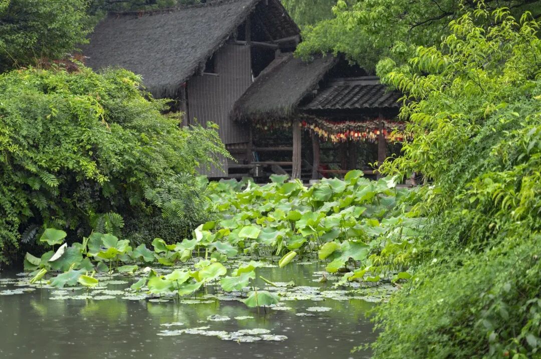 中国最“臭”的城市：臭晕游客，吃吐无数人！比柳州还“上头”，却让鲁迅表白！穷游必去，比苏杭更诗意