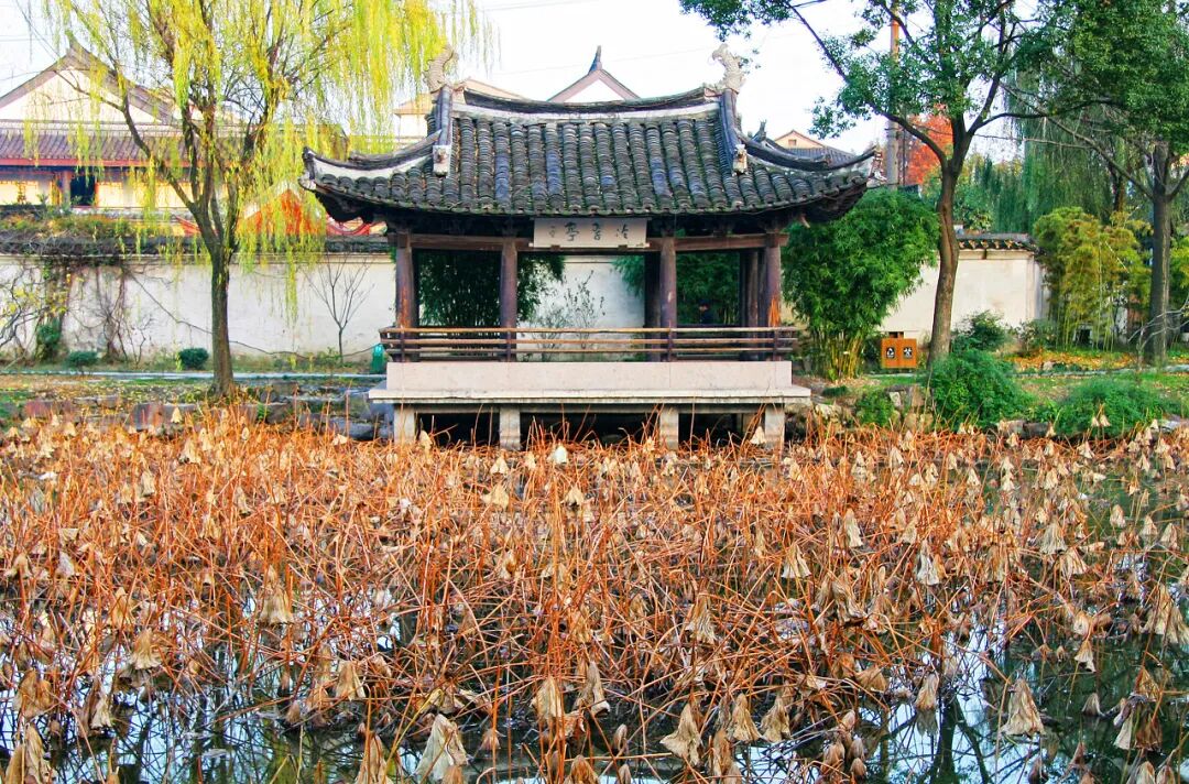 中国最“臭”的城市：臭晕游客，吃吐无数人！比柳州还“上头”，却让鲁迅表白！穷游必去，比苏杭更诗意