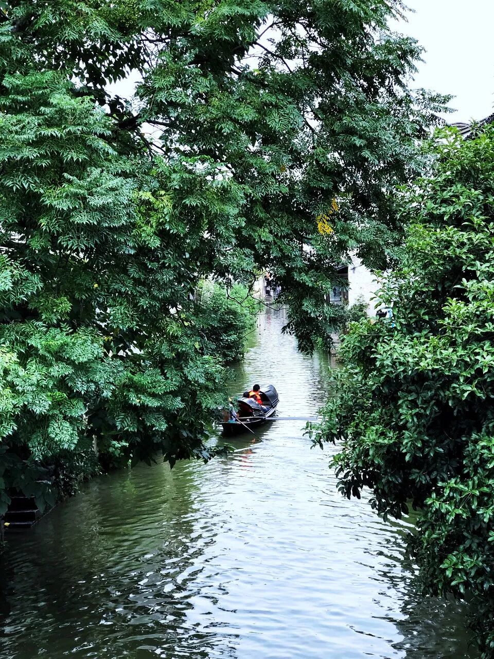 中国最“臭”的城市：臭晕游客，吃吐无数人！比柳州还“上头”，却让鲁迅表白！穷游必去，比苏杭更诗意