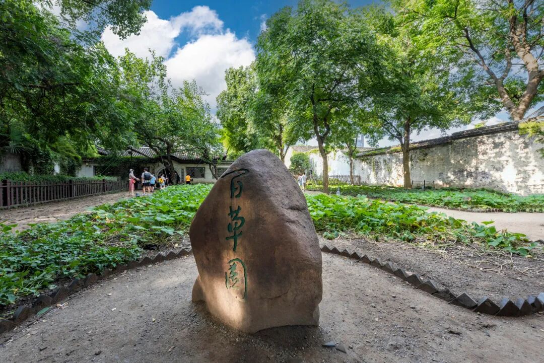 中国最“臭”的城市：臭晕游客，吃吐无数人！比柳州还“上头”，却让鲁迅表白！穷游必去，比苏杭更诗意