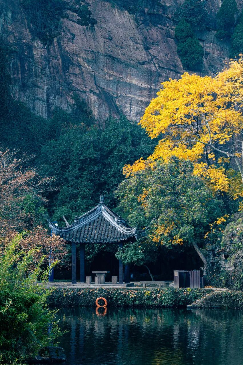 中国最“臭”的城市：臭晕游客，吃吐无数人！比柳州还“上头”，却让鲁迅表白！穷游必去，比苏杭更诗意