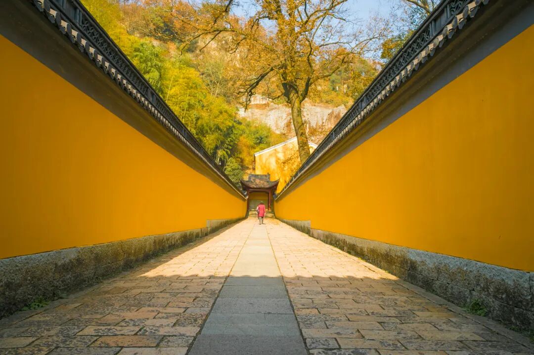 中国最“臭”的城市：臭晕游客，吃吐无数人！比柳州还“上头”，却让鲁迅表白！穷游必去，比苏杭更诗意