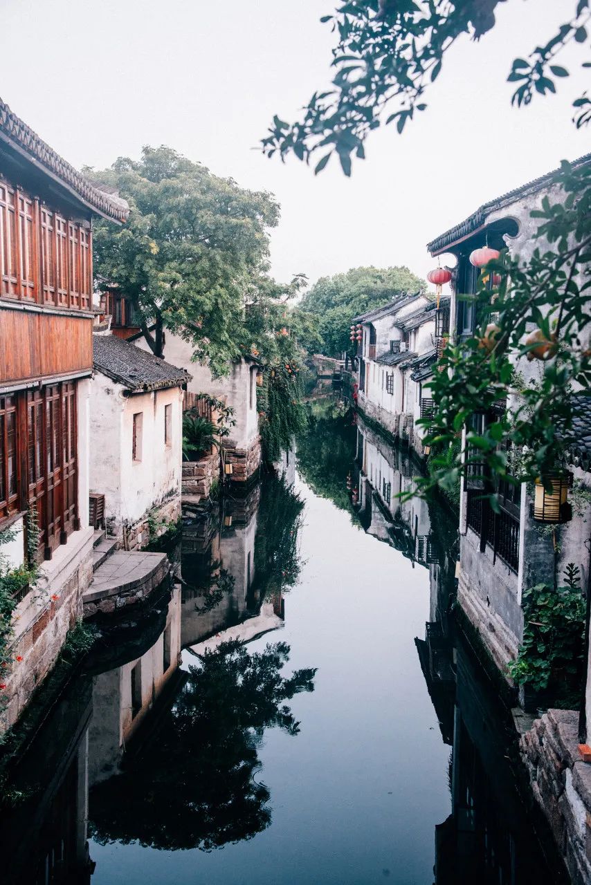 2024年绍兴旅游：中国最“臭”的城市：臭晕游客，吃吐无数人！比柳州还“上头”，却让鲁迅表白！穷游必去，比苏杭更诗意