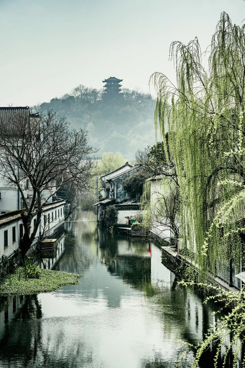 中国最“臭”的城市：臭晕游客，吃吐无数人！比柳州还“上头”，却让鲁迅表白！穷游必去，比苏杭更诗意