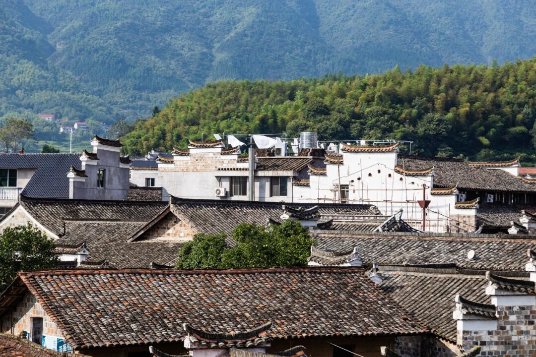 浙江唯一免费的5A古镇，不要只会去乌镇人挤人了！白居易疯狂表白，美到窒息，物价还低...