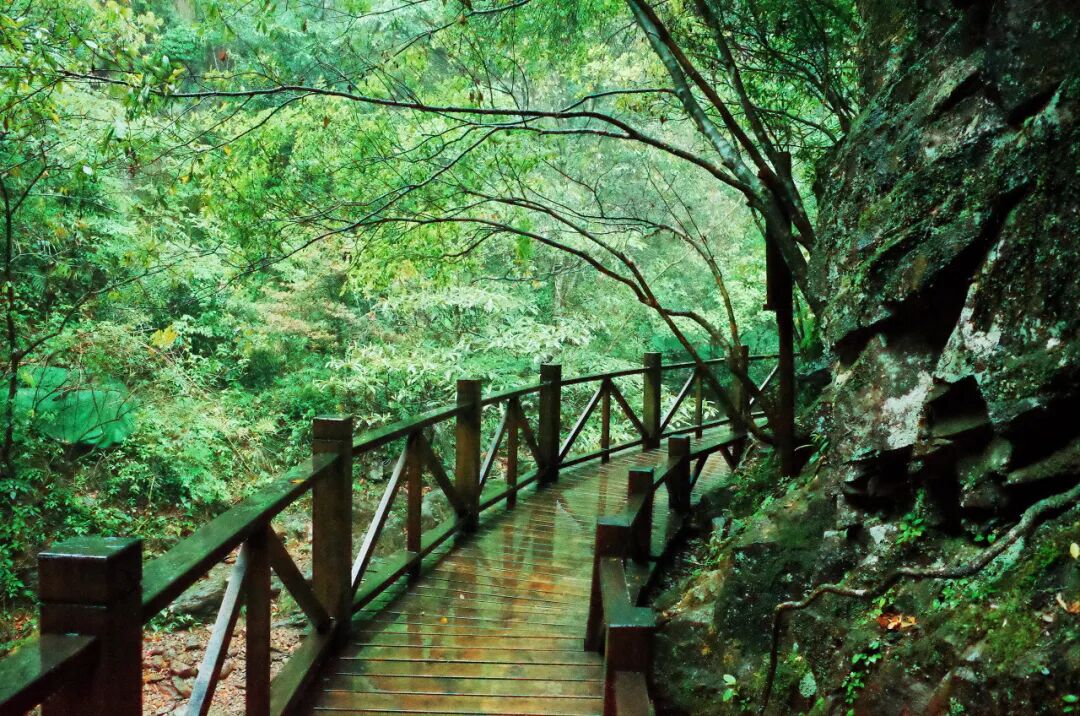 浙江唯一免费的5A古镇，不要只会去乌镇人挤人了！白居易疯狂表白，美到窒息，物价还低...