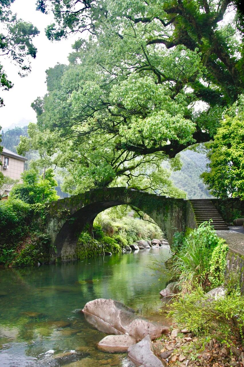 浙江唯一免费的5A古镇，不要只会去乌镇人挤人了！白居易疯狂表白，美到窒息，物价还低...