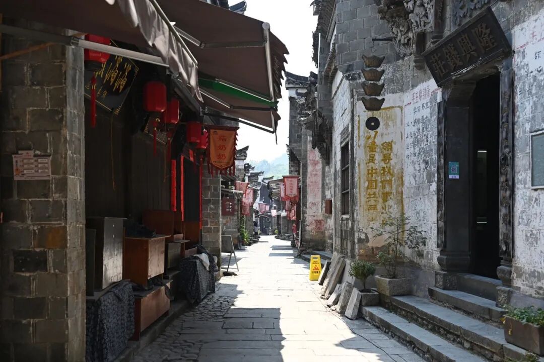 浙江唯一免费的5A古镇，不要只会去乌镇人挤人了！白居易疯狂表白，美到窒息，物价还低...