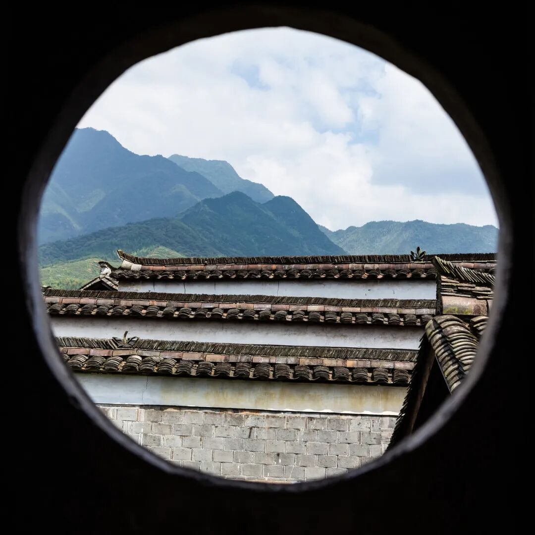 浙江唯一免费的5A古镇，不要只会去乌镇人挤人了！白居易疯狂表白，美到窒息，物价还低...