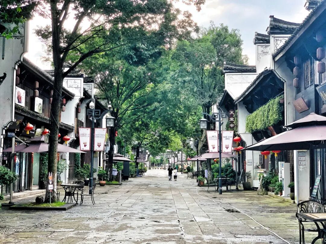 浙江唯一免费的5A古镇，不要只会去乌镇人挤人了！白居易疯狂表白，美到窒息，物价还低...