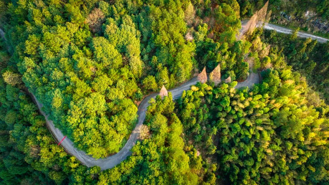 浙江唯一免费的5A古镇，不要只会去乌镇人挤人了！白居易疯狂表白，美到窒息，物价还低...