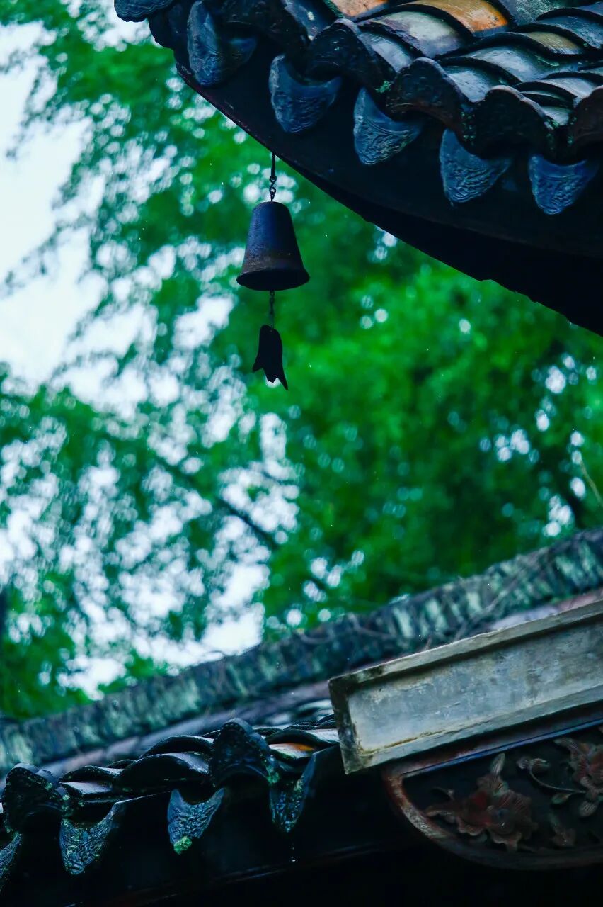 浙江唯一免费的5A古镇，不要只会去乌镇人挤人了！白居易疯狂表白，美到窒息，物价还低...