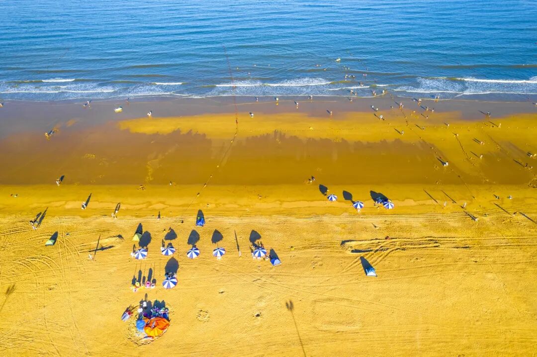 山东又一“假古城”火了，耗资39亿，却不收门票！游客：来了根本不想走