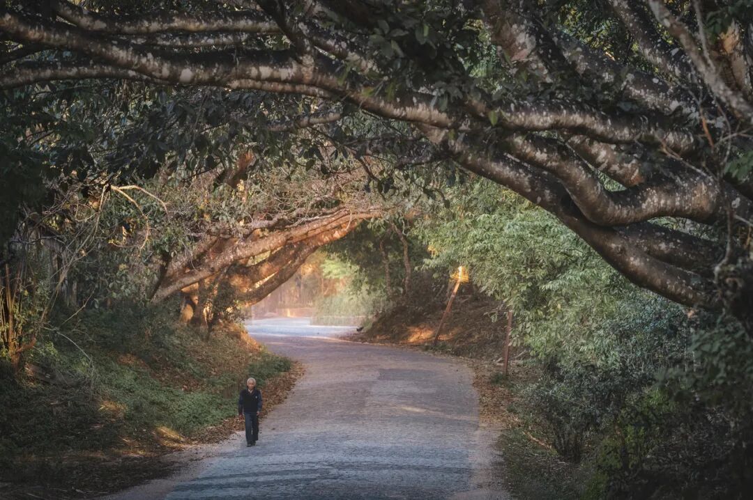 国内最适合穷游的6个城市，便宜又好玩！人均800，吃饱玩好，还都是此生必去......