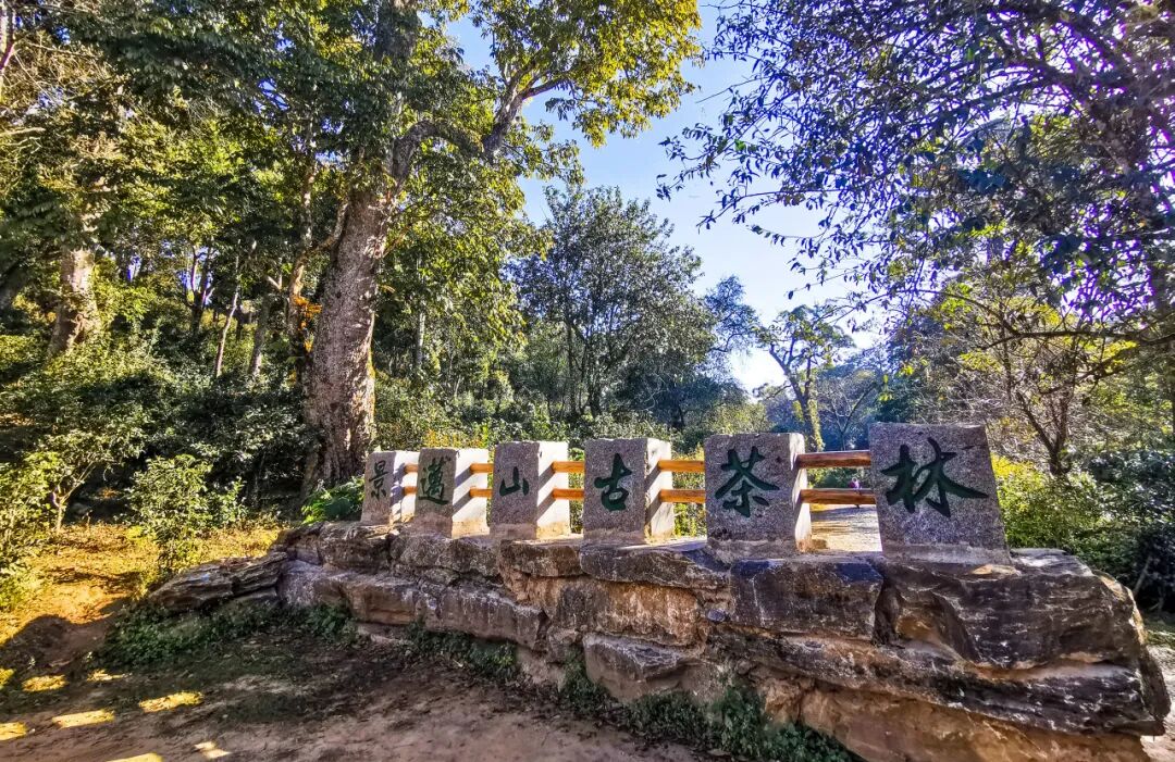 国内最适合穷游的6个城市，便宜又好玩！人均800，吃饱玩好，还都是此生必去......