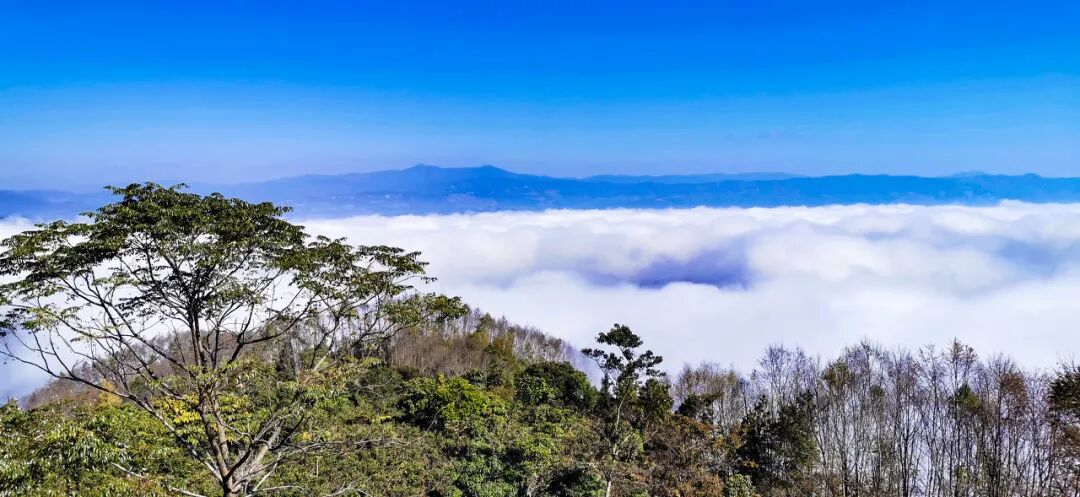 国内最适合穷游的6个城市，便宜又好玩！人均800，吃饱玩好，还都是此生必去......