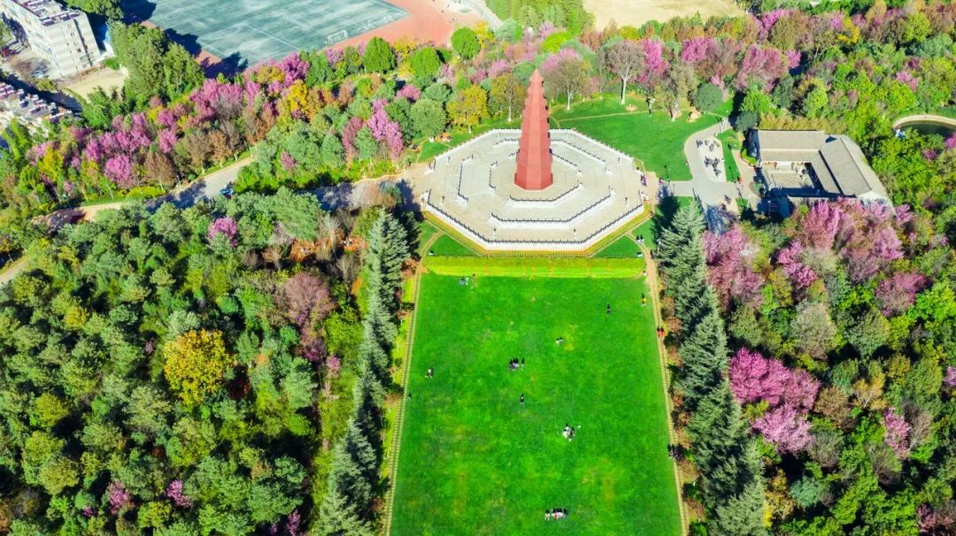 中国唯一以“香烟”命名的城市：烟比城市出名，李健为她写歌！比昆明安逸，高铁1h直达，竟鲜为人知