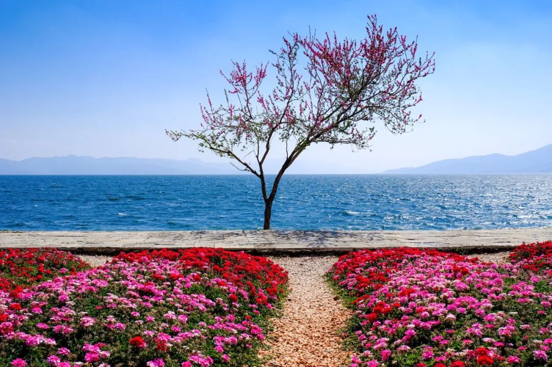 中国唯一以“香烟”命名的城市：烟比城市出名，李健为她写歌！比昆明安逸，高铁1h直达，竟鲜为人知