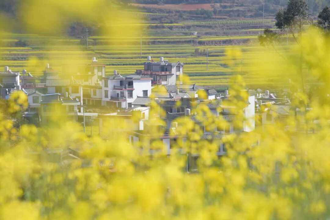 中国唯一以“香烟”命名的城市：烟比城市出名，李健为她写歌！比昆明安逸，高铁1h直达，竟鲜为人知