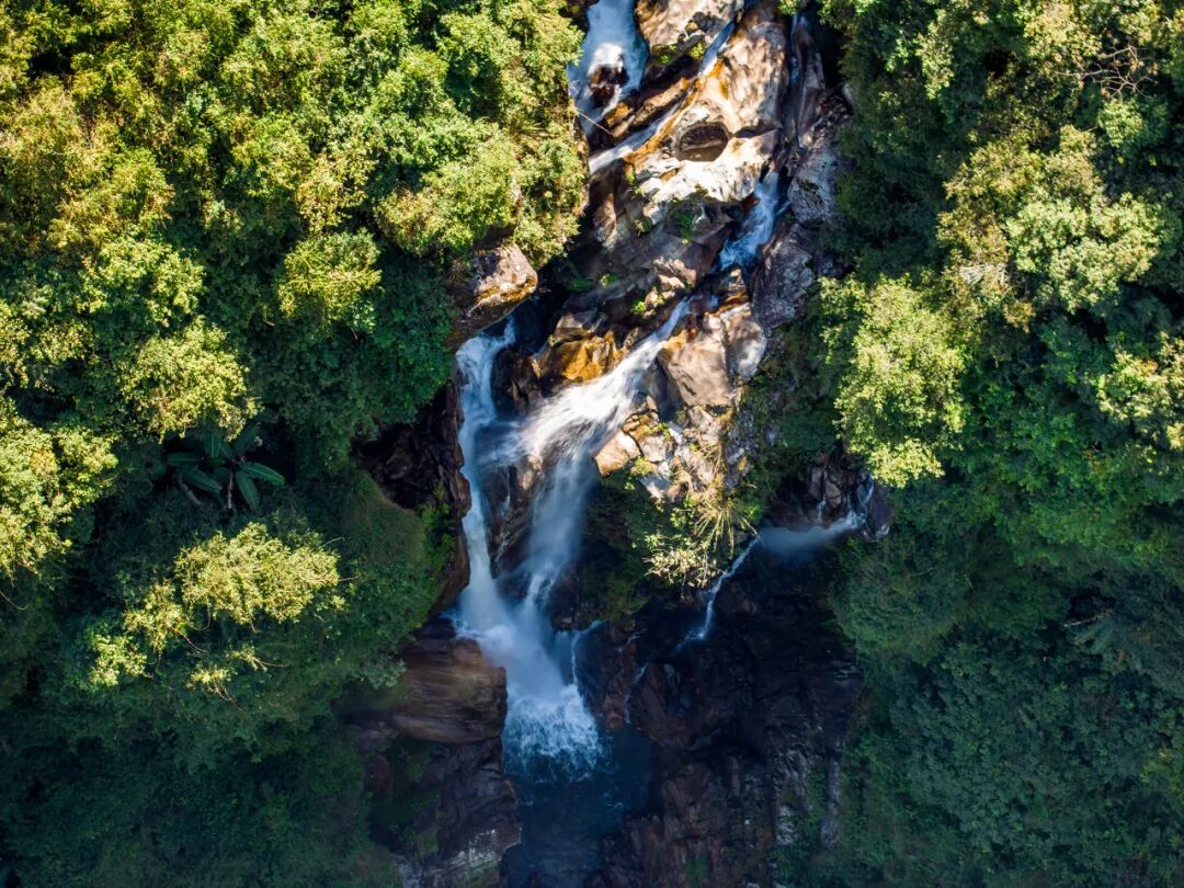 中国唯一以“香烟”命名的城市：烟比城市出名，李健为她写歌！比昆明安逸，高铁1h直达，竟鲜为人知