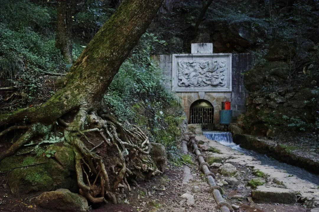 中国唯一以“香烟”命名的城市：烟比城市出名，李健为她写歌！比昆明安逸，高铁1h直达，竟鲜为人知