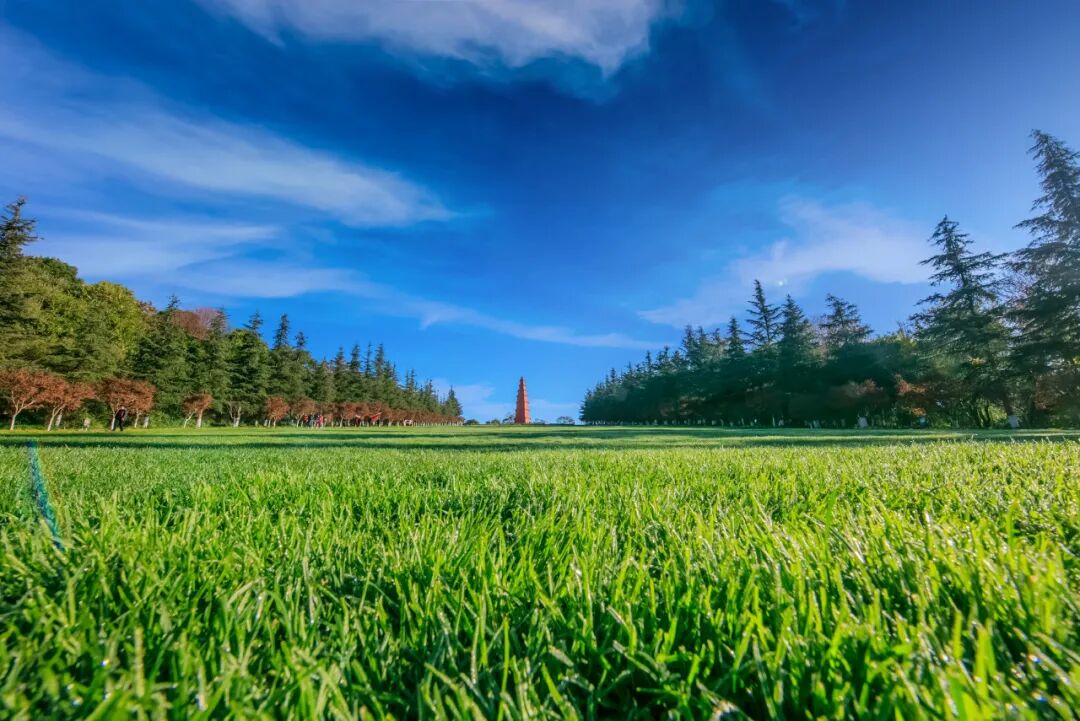 中国唯一以“香烟”命名的城市：烟比城市出名，李健为她写歌！比昆明安逸，高铁1h直达，竟鲜为人知