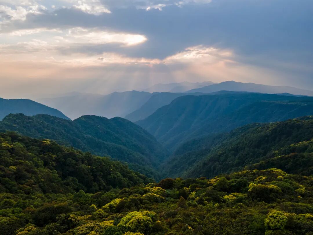中国唯一以“香烟”命名的城市：烟比城市出名，李健为她写歌！比昆明安逸，高铁1h直达，竟鲜为人知