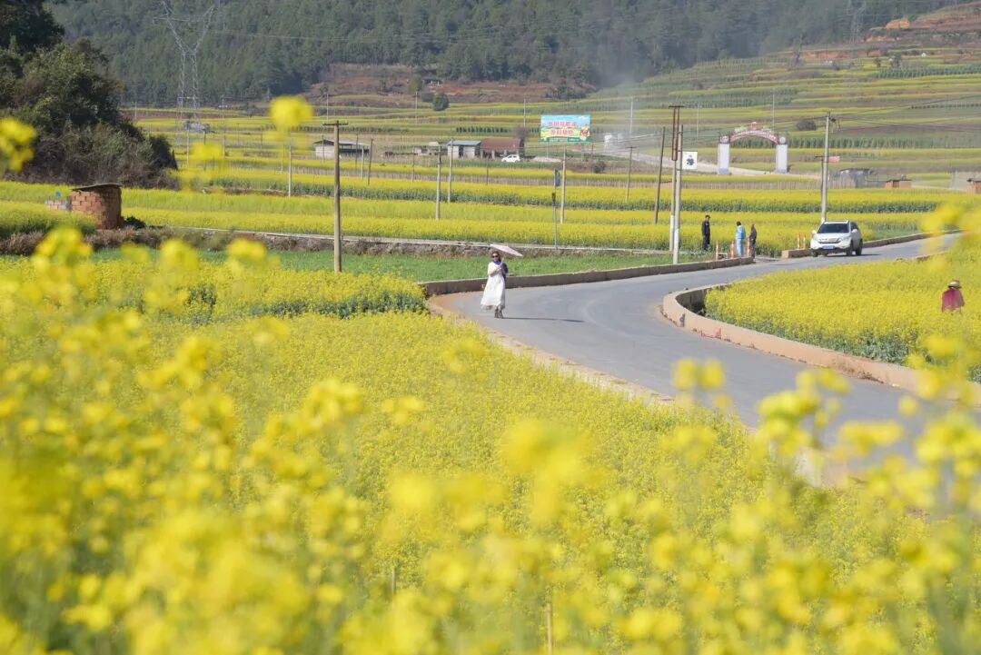 中国唯一以“香烟”命名的城市：烟比城市出名，李健为她写歌！比昆明安逸，高铁1h直达，竟鲜为人知
