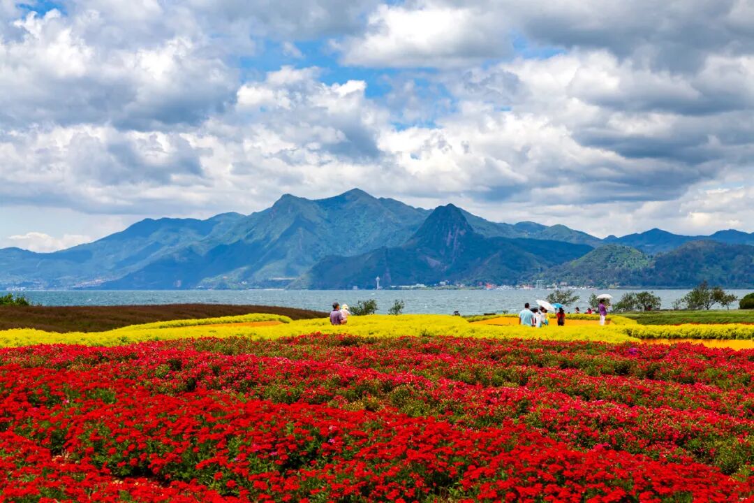 中国唯一以“香烟”命名的城市：烟比城市出名，李健为她写歌！比昆明安逸，高铁1h直达，竟鲜为人知