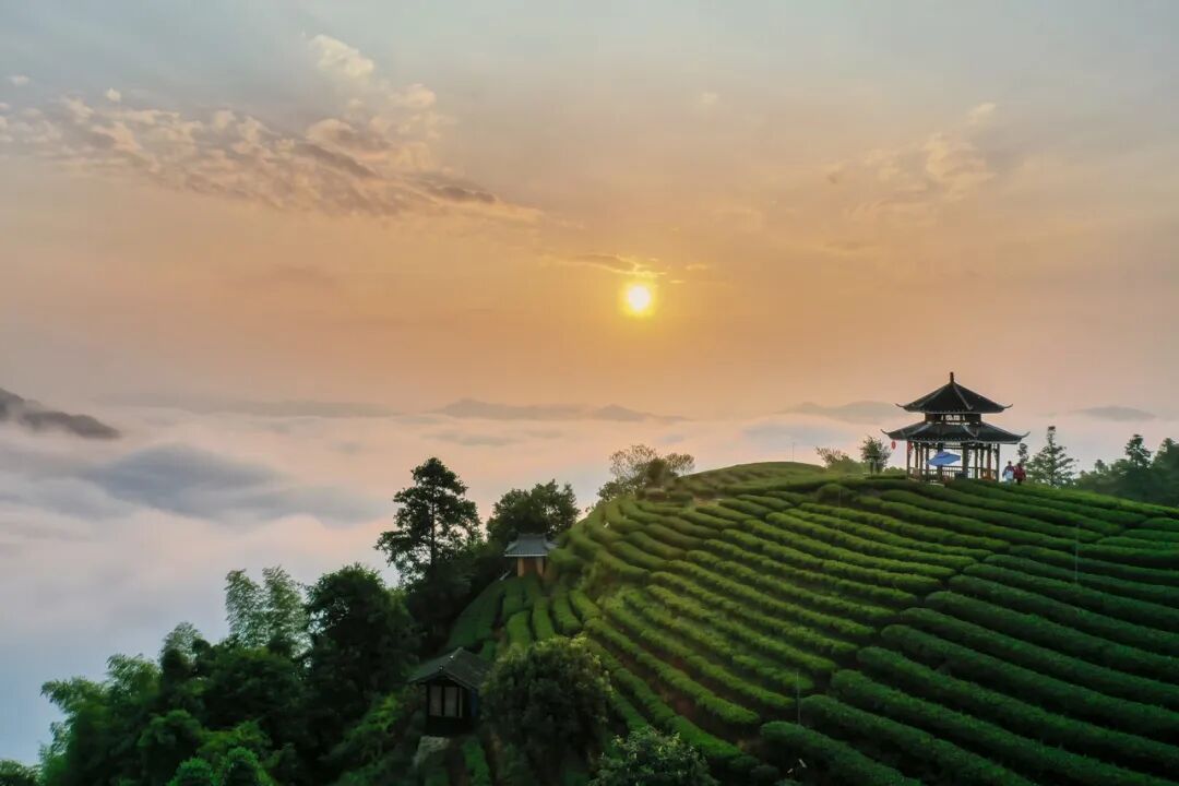 广西与贵州交界有个县，名气不大却出了多个世界之最，让人惊叹