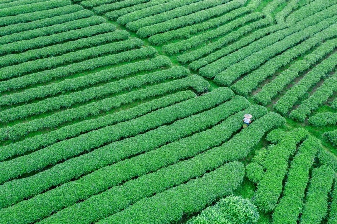 广西与贵州交界有个县，名气不大却出了多个世界之最，让人惊叹