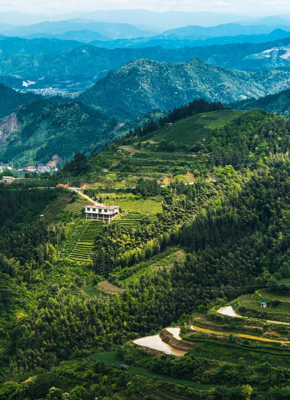 广西与贵州交界有个县，名气不大却出了多个世界之最，让人惊叹