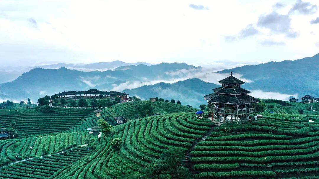 广西与贵州交界有个县，名气不大却出了多个世界之最，让人惊叹