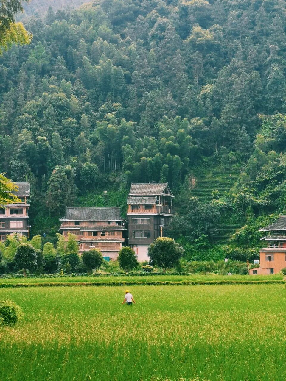 广西与贵州交界有个县，名气不大却出了多个世界之最，让人惊叹