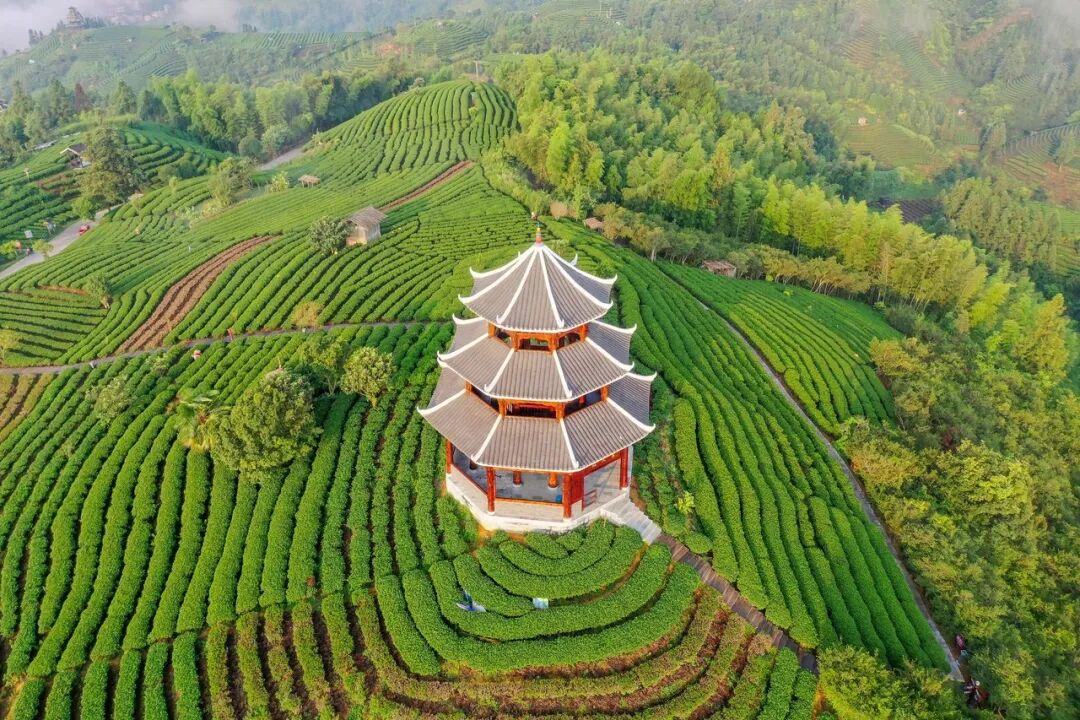 广西与贵州交界有个县，名气不大却出了多个世界之最，让人惊叹