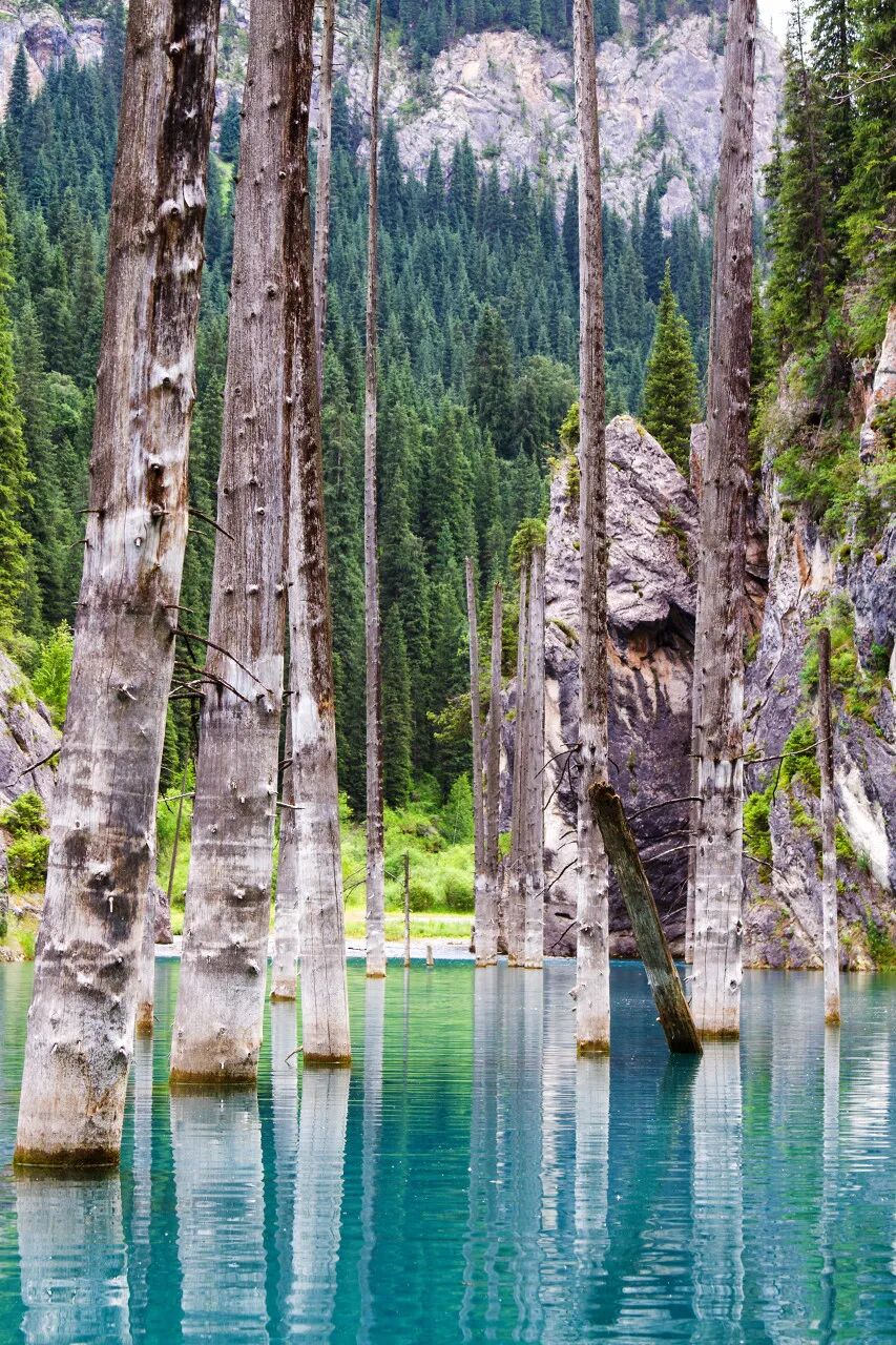 免签30天正式生效！世界最“便宜”的国家，风光不输瑞士，油价仅2.5元/升，花¥35坐大巴就能去？