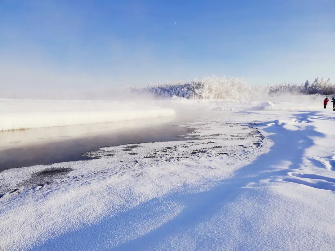 零下71℃！世界最冷的地方，北极熊扛不住，挖坟需要3天，仅有500人居住，却有无数人抢着来